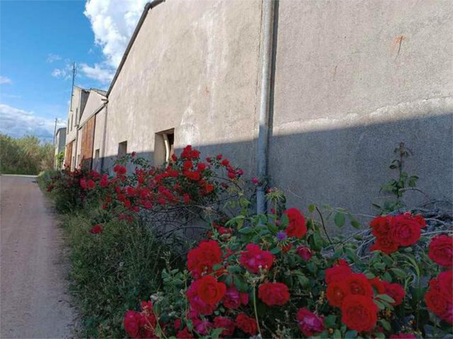 Vista exterior de Casa o xalet en venda en Talavera de la Reina