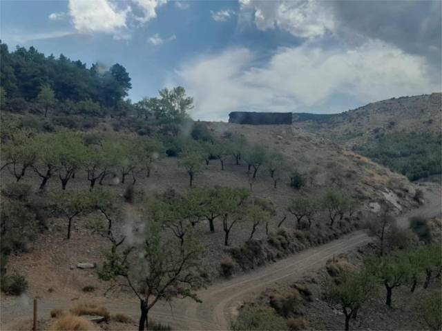 Terreno residencial en Venta en Calle Ladera, 11 en Bacares