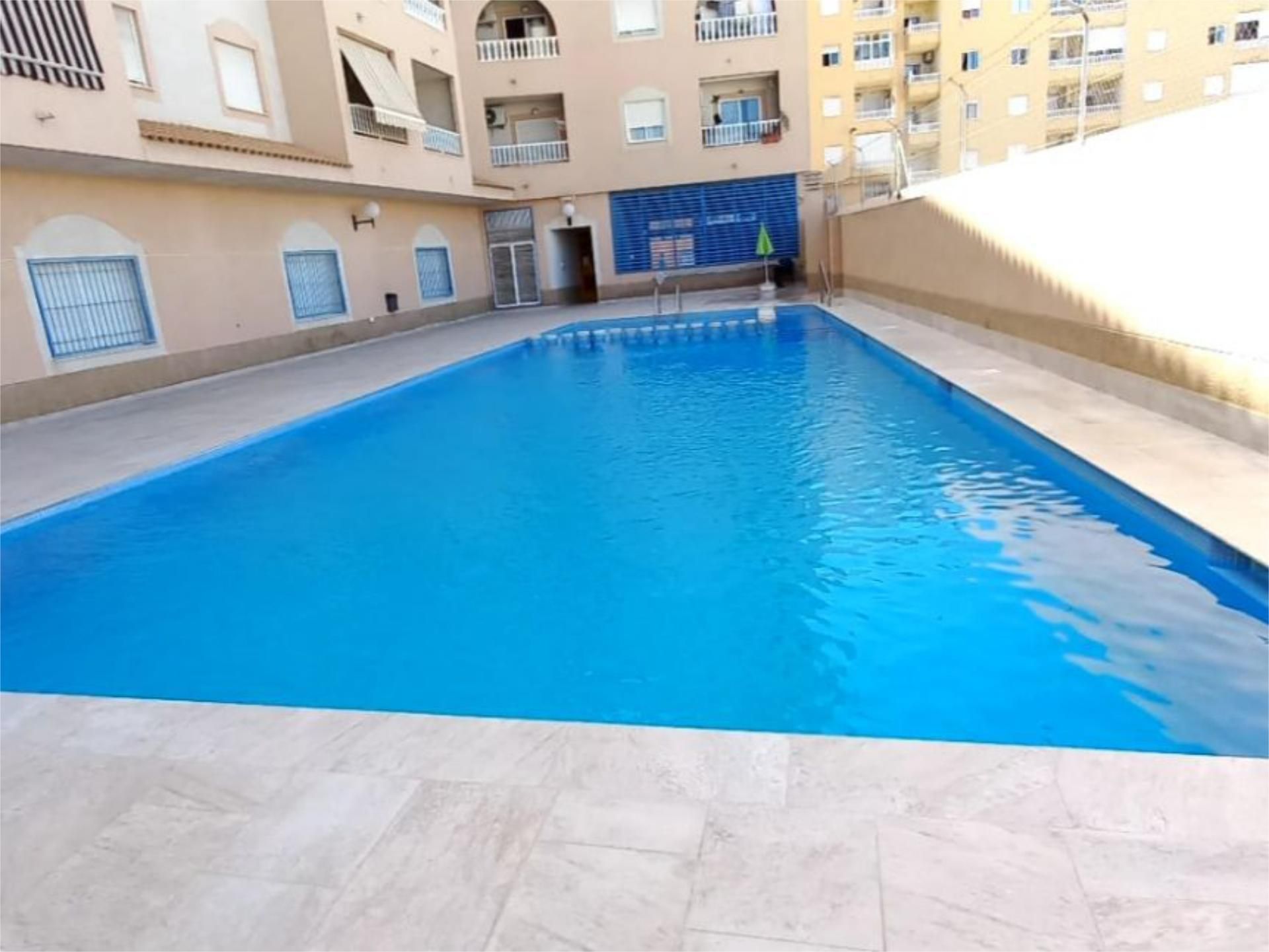 Swimming pool of Flat to rent in Torrevieja  with Terrace, Swimming Pool and Furnished