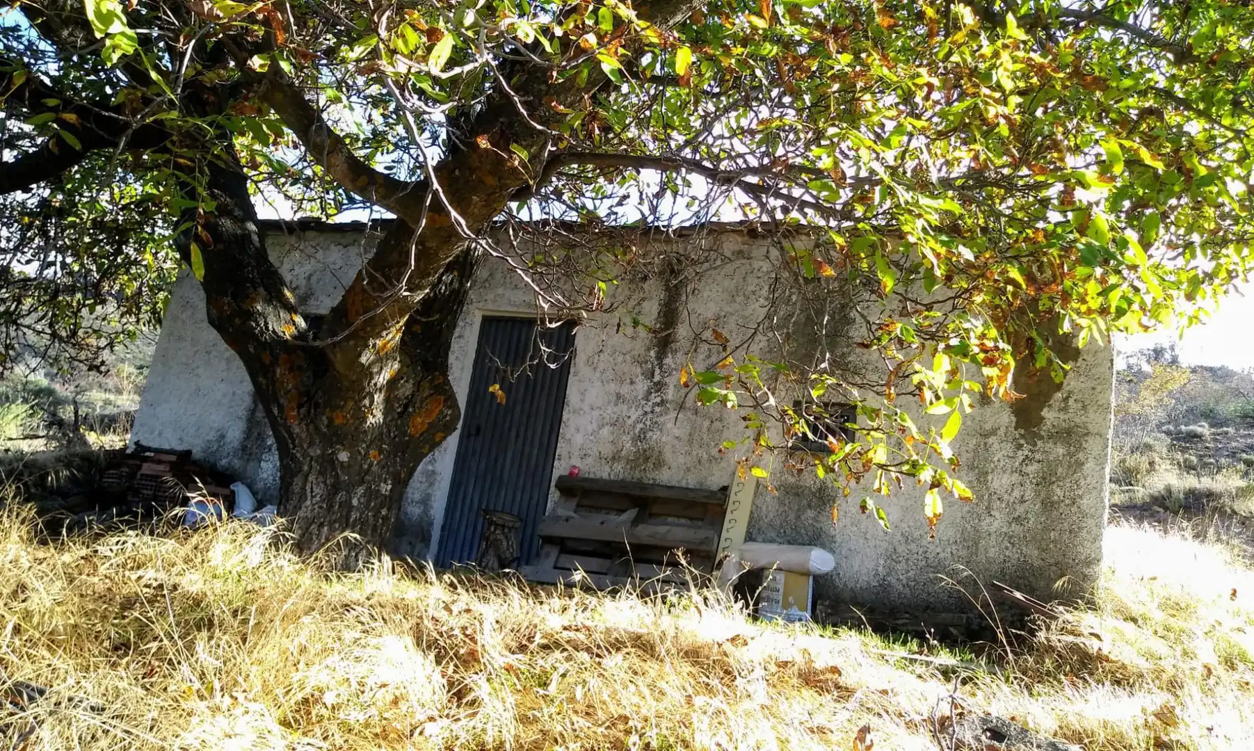 Non-constructible Land for sale in Calle Barranquillo, 6, Velefique Exterior view of Non-constructible Land for sale in Velefique