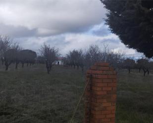 Land for sale in Argamasilla de Calatrava