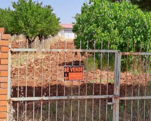 Land for sale in Argamasilla de Calatrava