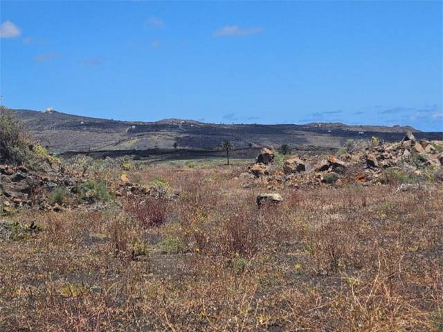 Terreno no urbanizable en Venta en Calle la Luciana, 5 en Tabayesco