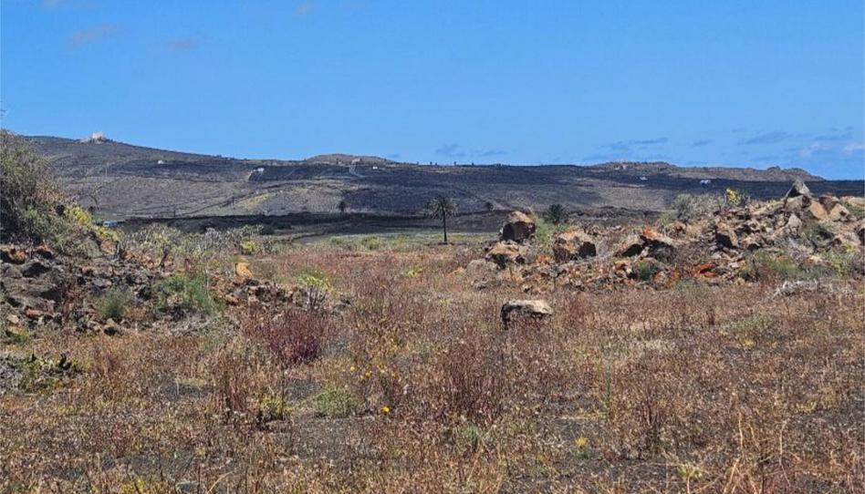 Non-constructible Land for sale in Calle la Luciana, 5, Tabayesco, Las Palmas - image 1 Photo 1 of Non-constructible Land for sale in Calle la Luciana, 5, Tabayesco, Las Palmas