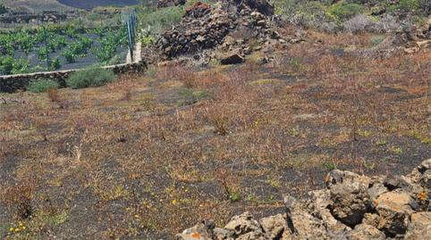 Non-constructible Land for sale in Calle la Luciana, 5, Tabayesco, Las Palmas - image 2 Photo 2 of Non-constructible Land for sale in Calle la Luciana, 5, Tabayesco, Las Palmas