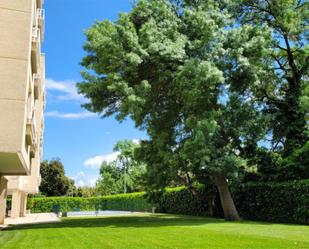 Garden of Flat to rent in Algete  with Heating, Private garden and Terrace