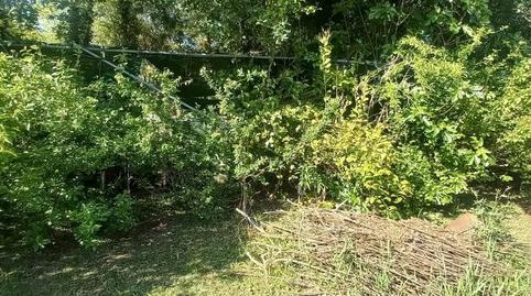 Photo 4 of Planta baja for sale in Ac-241, 2, Teo, A Coruña