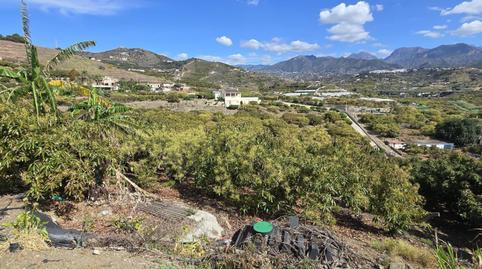 Casa o xalet en venda a Terreno Sup. 1, 181, Avda Pescia - Ctra de Frigiliana, Málaga - imatge 3 Foto 3 de Casa o xalet en venda a Terreno Sup. 1, 181, Avda Pescia - Ctra de Frigiliana, Málaga