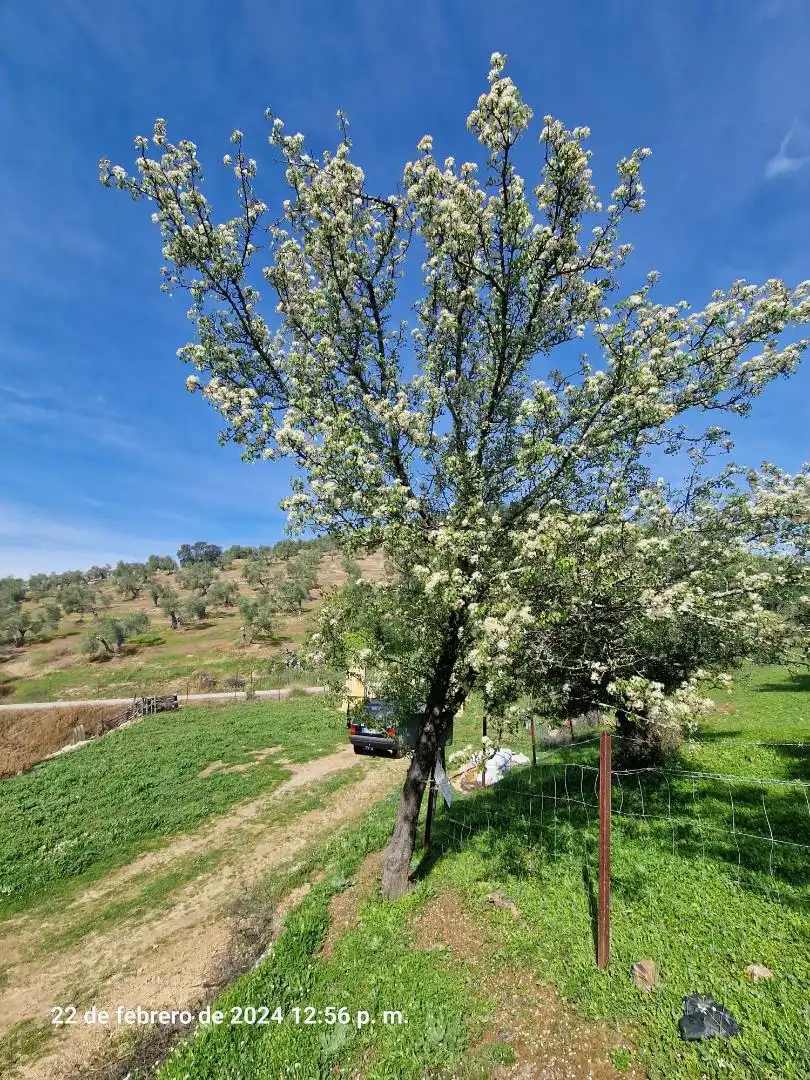 Garten von Grundstücke zum Verkauf in La Puebla de los Infantes