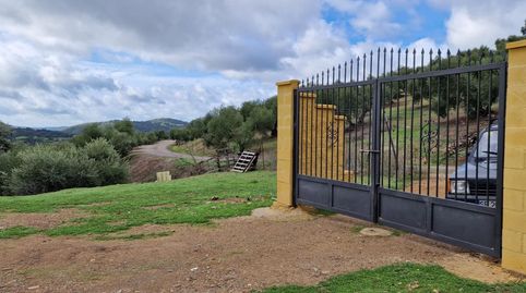 Foto 5 de Terreny en venda a Calle de Antonio Machado, 29, La Puebla de los Infantes, Sevilla