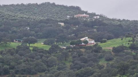 Terreny en venda a Calle de Antonio Machado, 29, La Puebla de los Infantes, Sevilla - imatge 5 Foto 5 de Terreny en venda a Calle de Antonio Machado, 29, La Puebla de los Infantes, Sevilla