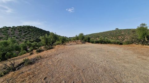 Foto 4 de Terreny en venda a Calle de Antonio Machado, 29, La Puebla de los Infantes, Sevilla