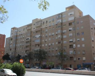 Pis per a compartir a Calle Carteros, 3, Pino Montano - Consolación