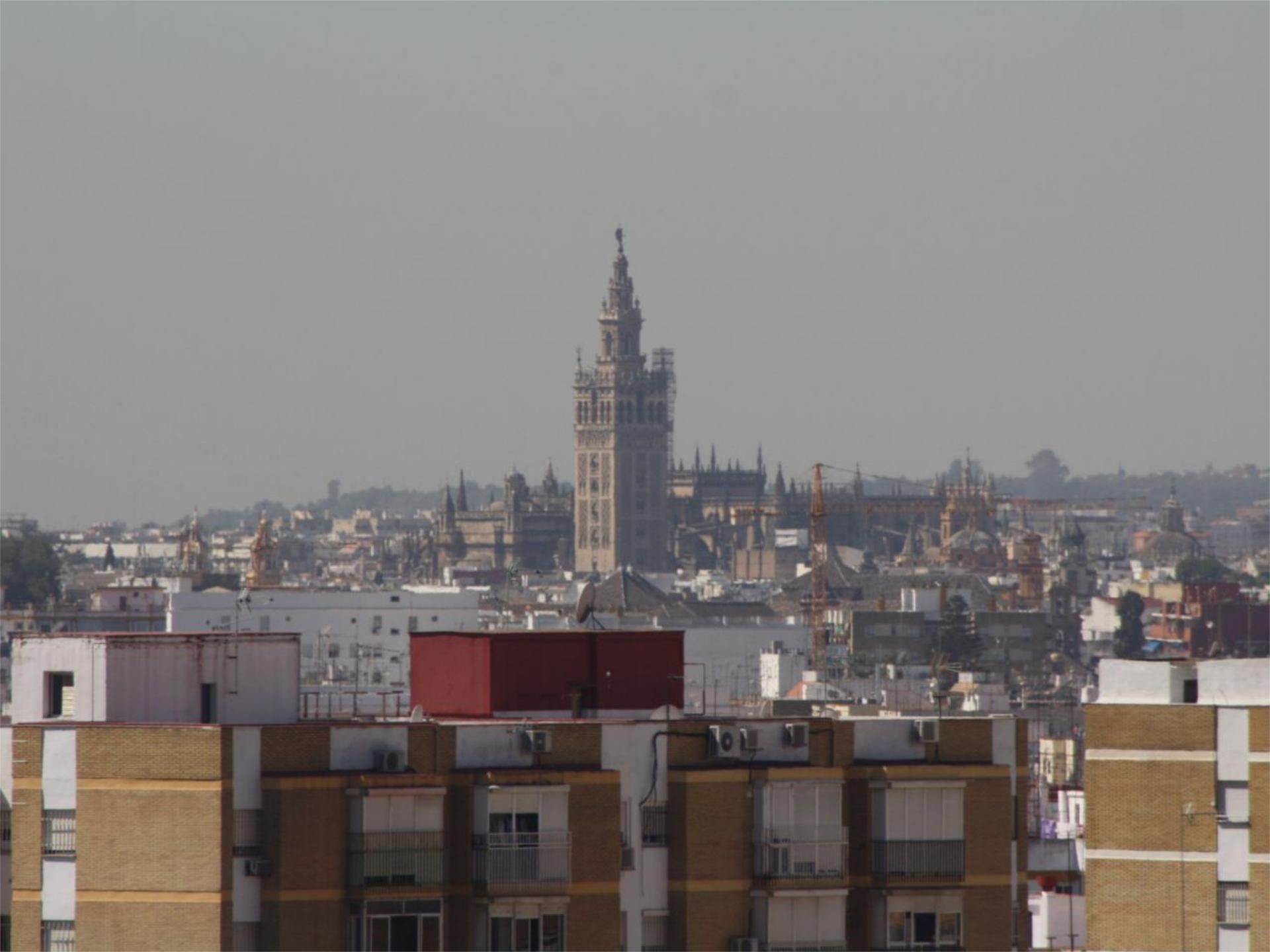 Flat to share in Calle Carteros, 3, Pino Montano - Consolación