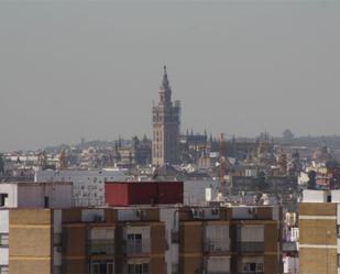 Pis per a compartir a Calle Carteros, 3, Pino Montano - Consolación