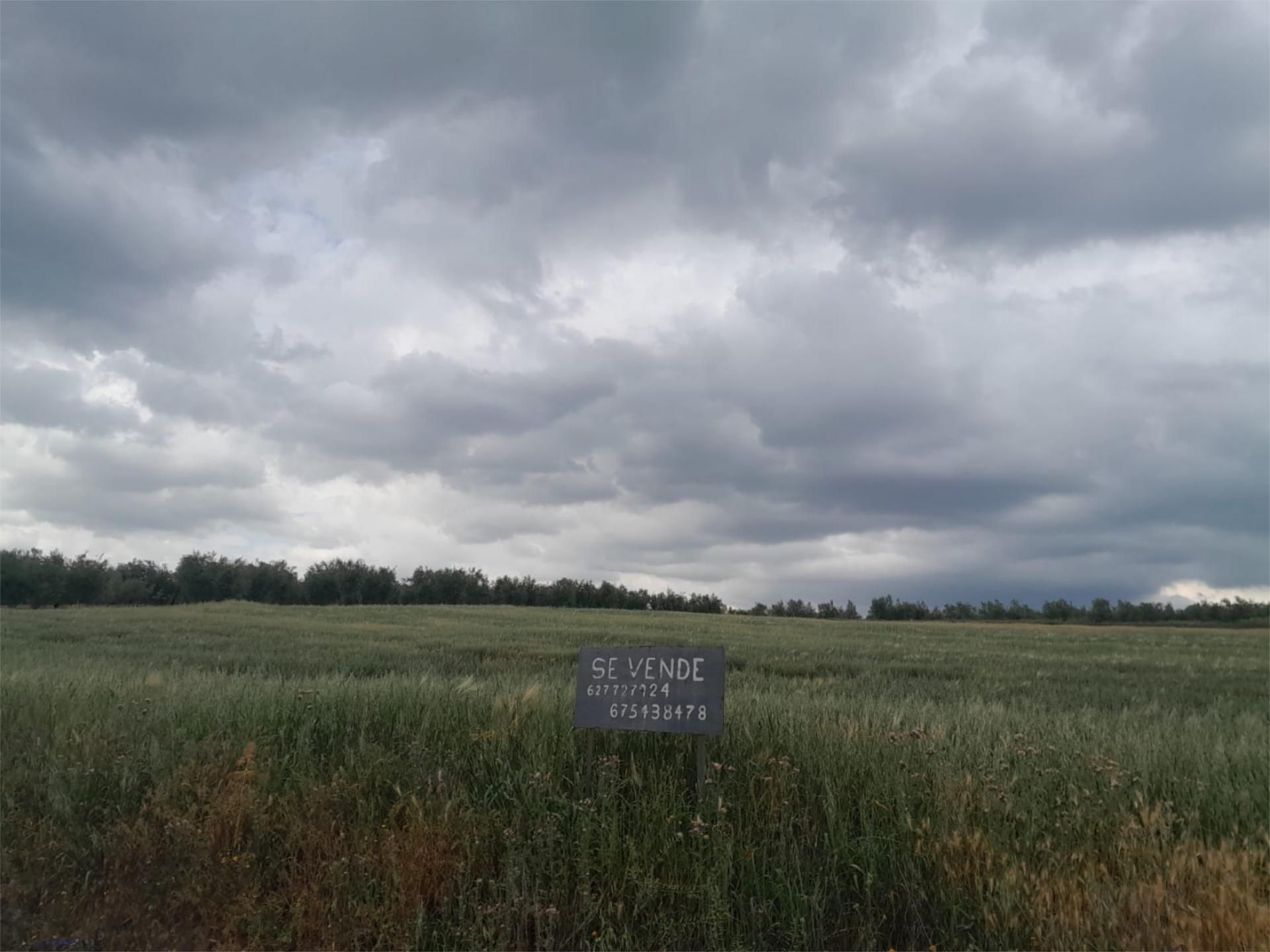 Non-constructible Land for sale in Cazorla