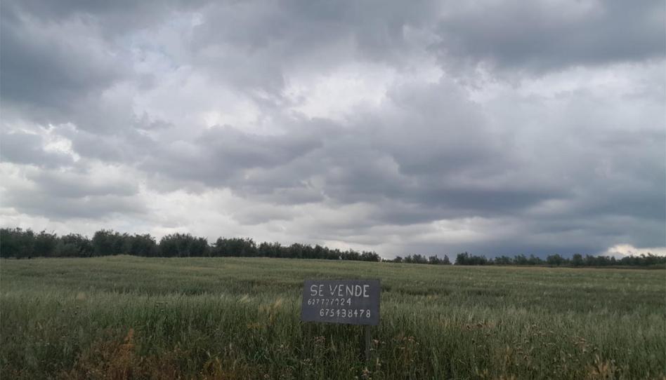 Non-constructible Land for sale in Carretera Santo Tome, 10, Cazorla, Jaén - image 1 Photo 1 of Non-constructible Land for sale in Carretera Santo Tome, 10, Cazorla, Jaén