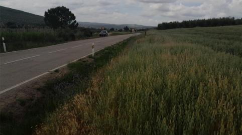 Non-constructible Land for sale in Carretera Santo Tome, 10, Cazorla, Jaén - image 3 Photo 3 of Non-constructible Land for sale in Carretera Santo Tome, 10, Cazorla, Jaén