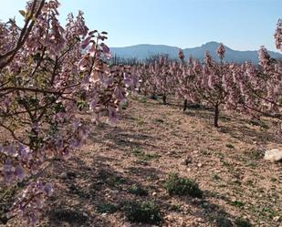Jardí de No Urbanitzable en venda en Villena