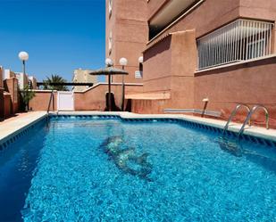 Swimming pool of Flat for sale in Elche / Elx  with Swimming Pool