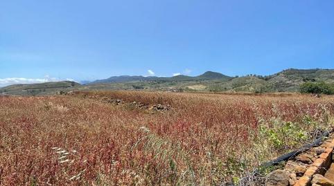 Foto 2 de Finca rústica en venda a Camino el Convento, 8a, La Esperanza - Llano del Moro, Santa Cruz de Tenerife