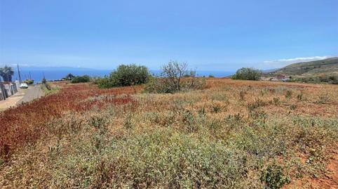 Foto 4 de Finca rústica en venda a Camino el Convento, 8a, La Esperanza - Llano del Moro, Santa Cruz de Tenerife