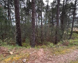 Non-constructible Land for sale in Guisando