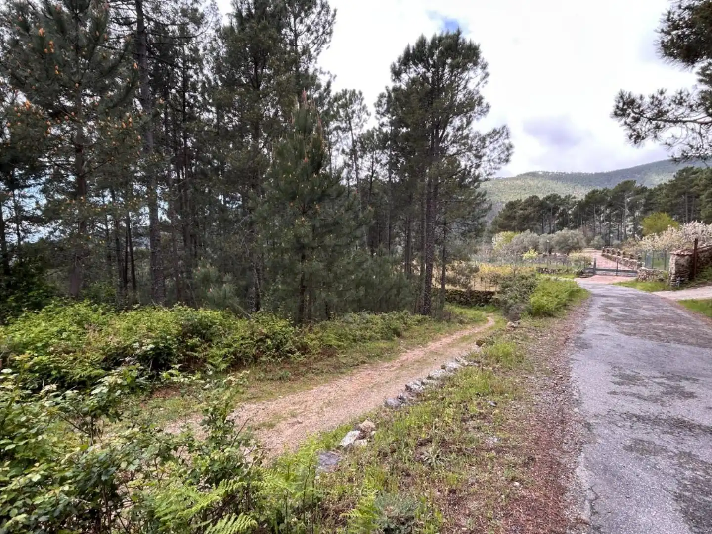 No Urbanizable en venta en Carretera Hoyuelo, 17, Guisando No Urbanizable en venta en Guisando