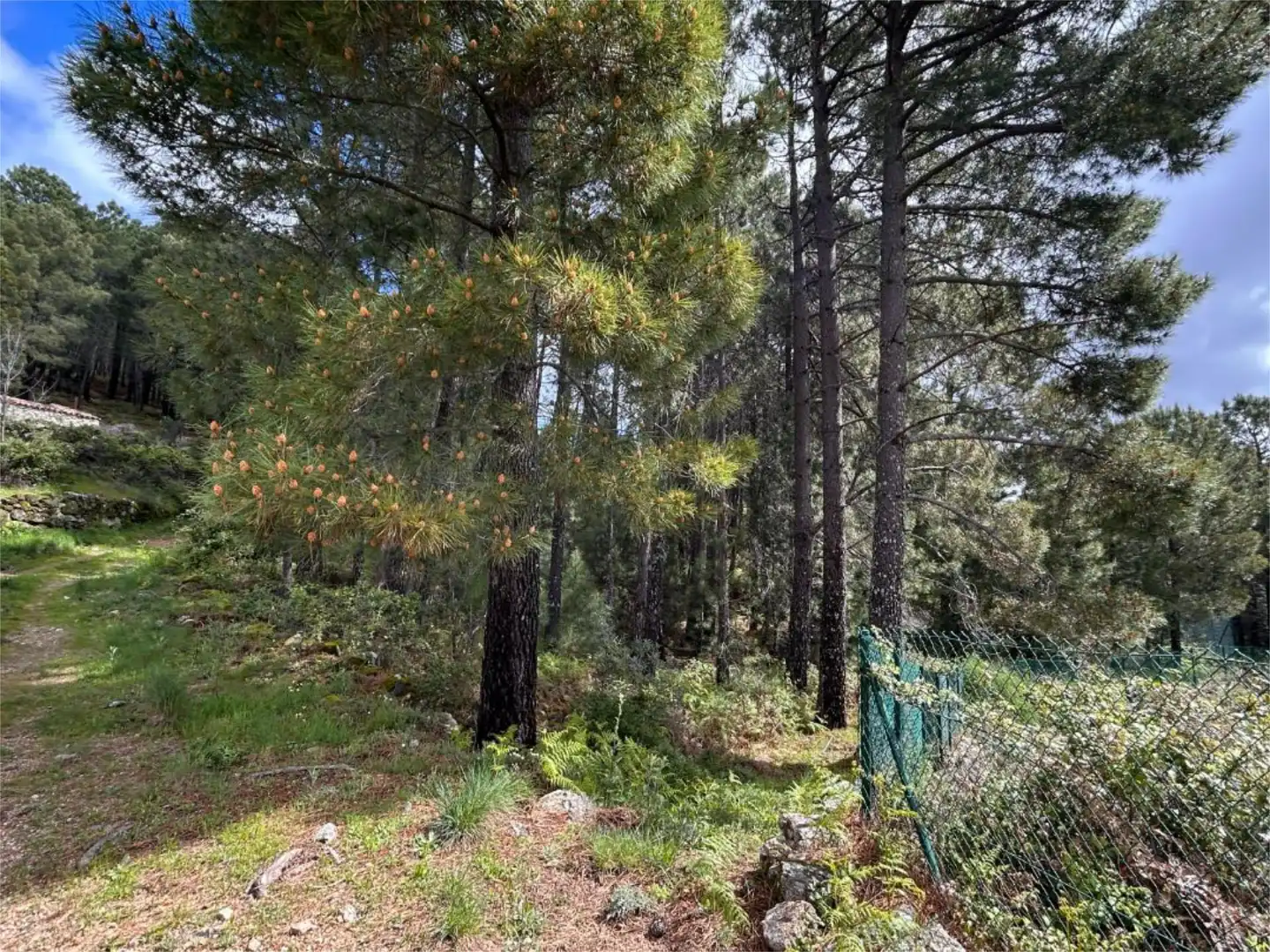 No Urbanizable en venta en Carretera Hoyuelo, 17, Guisando No Urbanizable en venta en Guisando