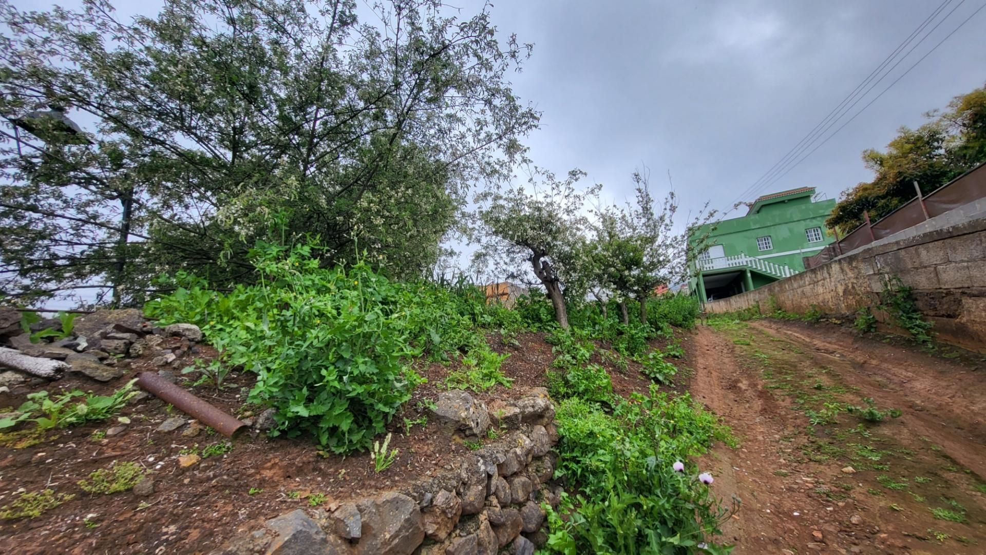 Constructible Land for sale in Tacoronte
