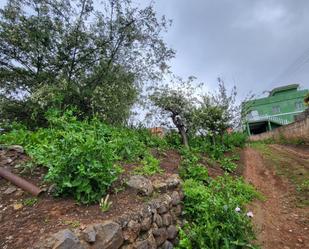 Constructible Land for sale in Tacoronte