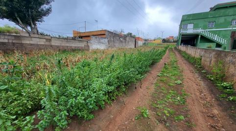 Urbanitzable en venda a Calle Piedra de Torres, 22d, Campo de Golf - Agua García - Juan Fernández, Santa Cruz de Tenerife - imatge 3 Foto 3 de Urbanitzable en venda a Calle Piedra de Torres, 22d, Campo de Golf - Agua García - Juan Fernández, Santa Cruz de Tenerife