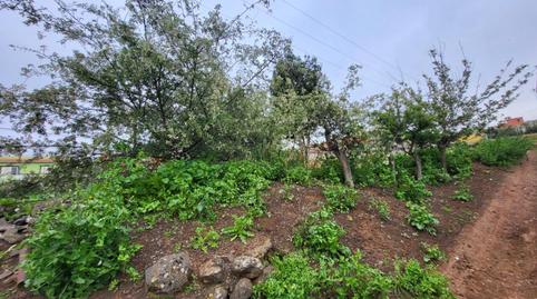 Urbanitzable en venda a Calle Piedra de Torres, 22d, Campo de Golf - Agua García - Juan Fernández, Santa Cruz de Tenerife - imatge 5 Foto 5 de Urbanitzable en venda a Calle Piedra de Torres, 22d, Campo de Golf - Agua García - Juan Fernández, Santa Cruz de Tenerife