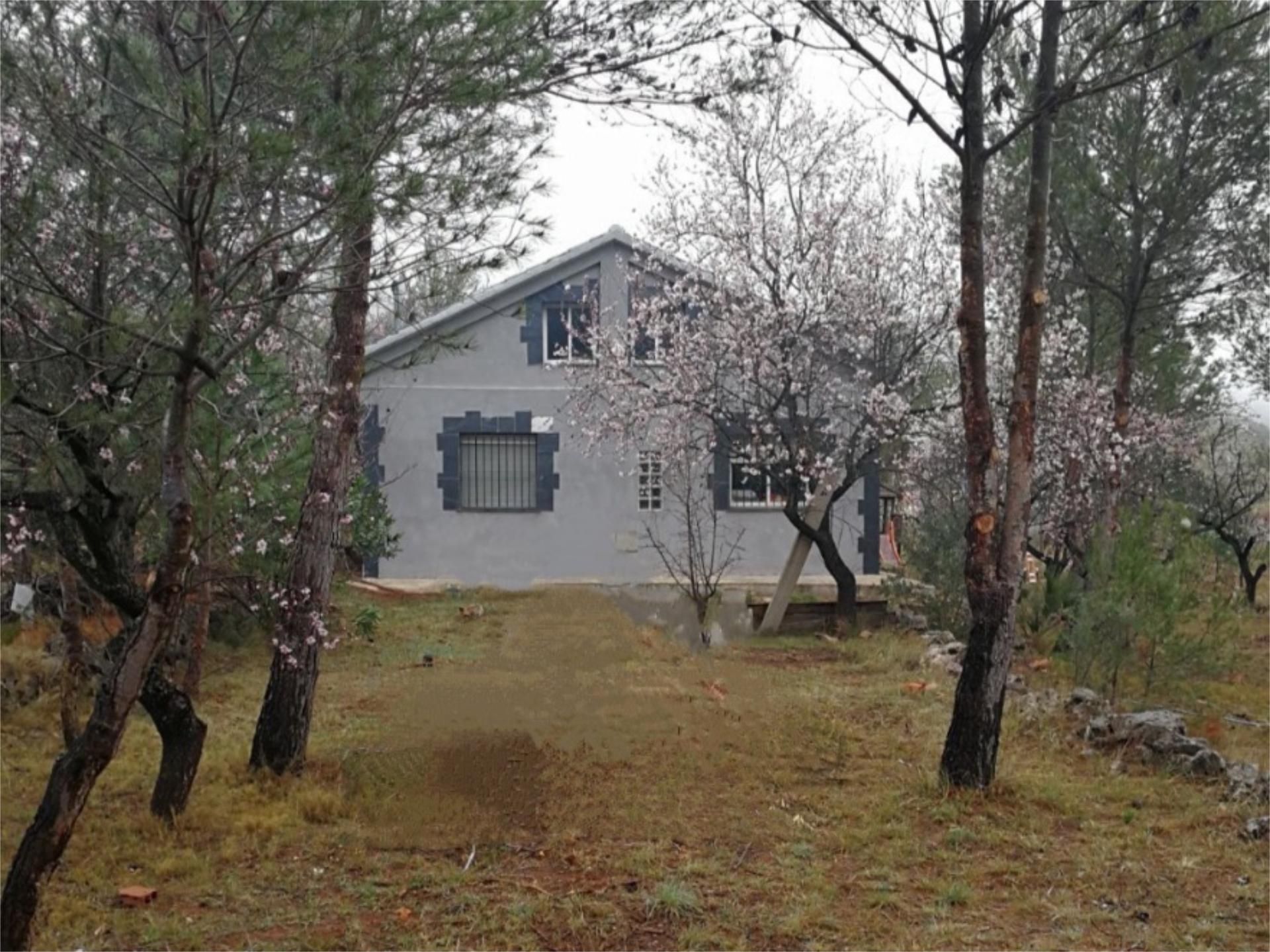 Exterior view of House or chalet for sale in Villalonga  with Swimming Pool