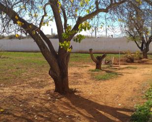 Jardí de Pis en venda en Fuente de Piedra