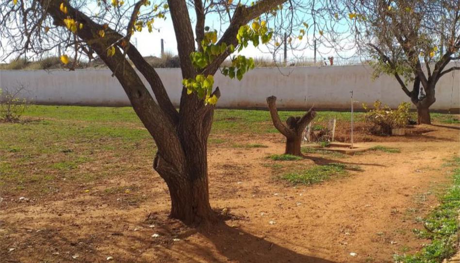 Flat for sale in Plaza del Olivo, 15, Fuente de Piedra, Málaga - image 1 Photo 1 of Flat for sale in Plaza del Olivo, 15, Fuente de Piedra, Málaga