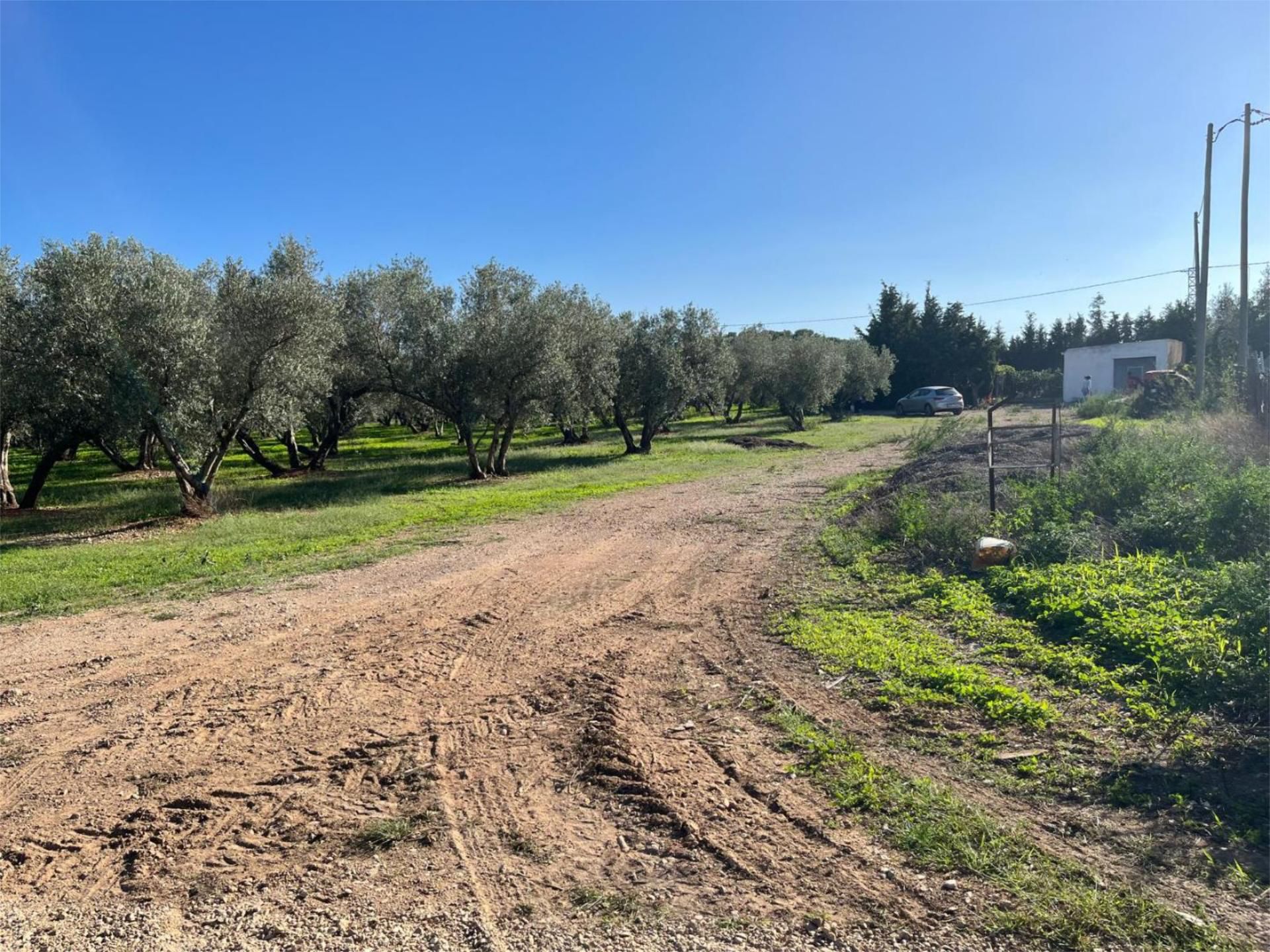 Non-constructible Land for sale in La Sénia