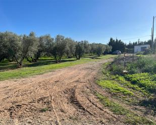 Non-constructible Land for sale in La Sénia