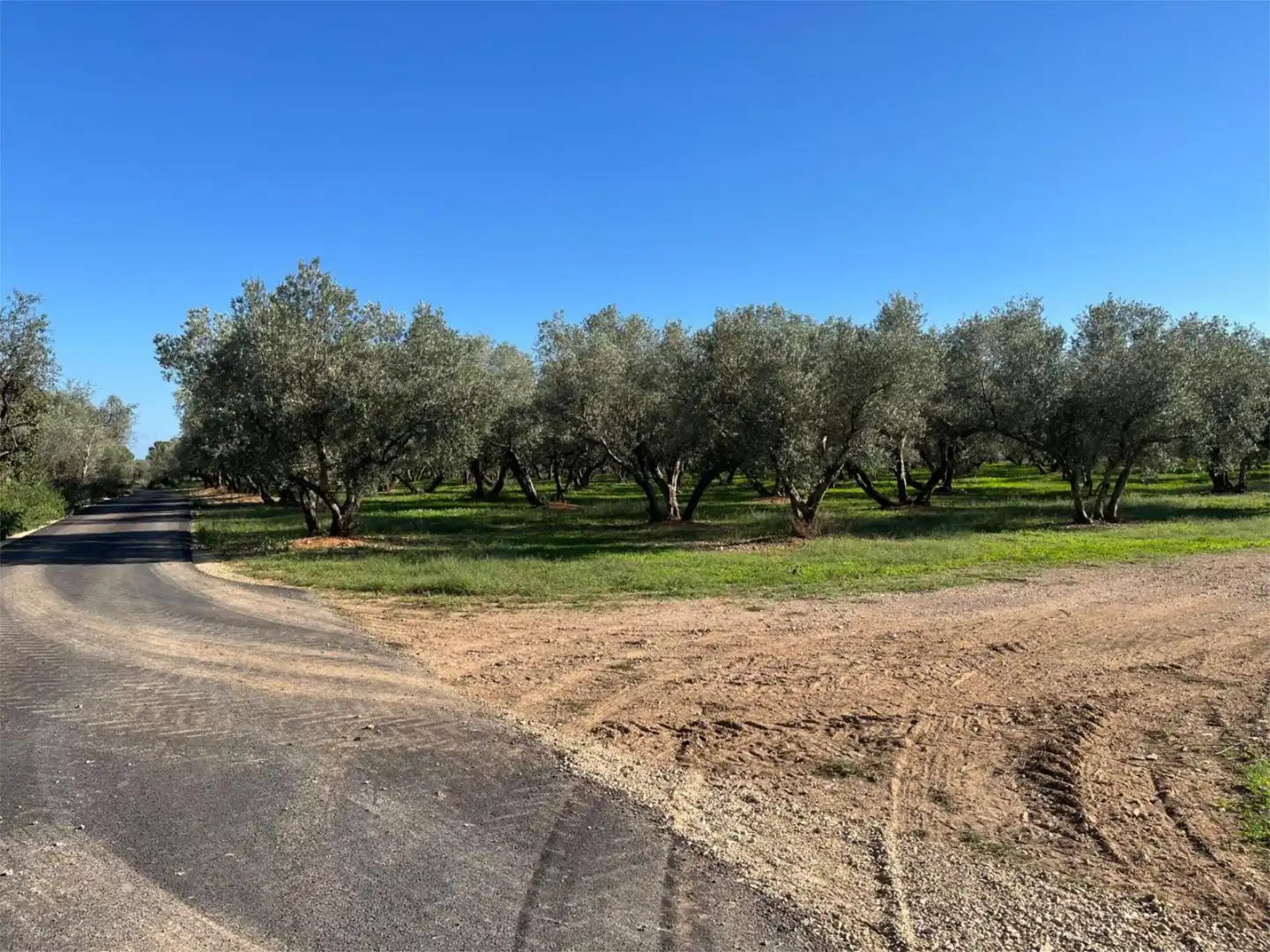 No Urbanizable en venta en TV-3319, 102, La Sénia No Urbanizable en venta en La Sénia