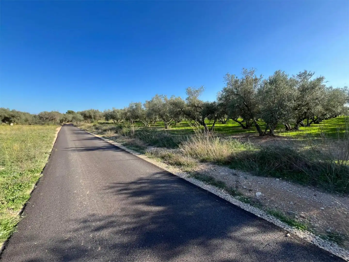 No Urbanizable en venta en TV-3319, 102, La Sénia No Urbanizable en venta en La Sénia