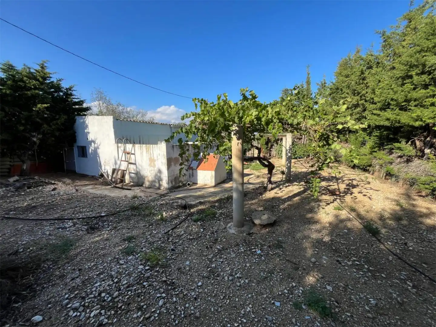 No Urbanizable en venta en TV-3319, 102, La Sénia No Urbanizable en venta en La Sénia