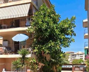 Vista exterior de Apartament de lloguer en Cunit amb Calefacció, Terrassa i Moblat