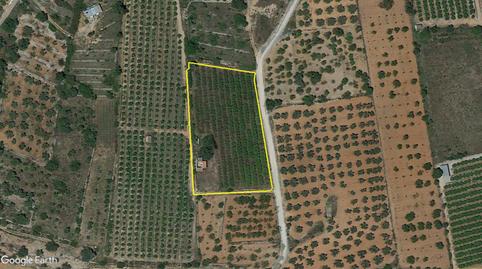 Finca rústica en venda a Passeig D'en Blai Osanz, 5, Càlig, Castellón - imatge 2 Foto 2 de Finca rústica en venda a Passeig D'en Blai Osanz, 5, Càlig, Castellón