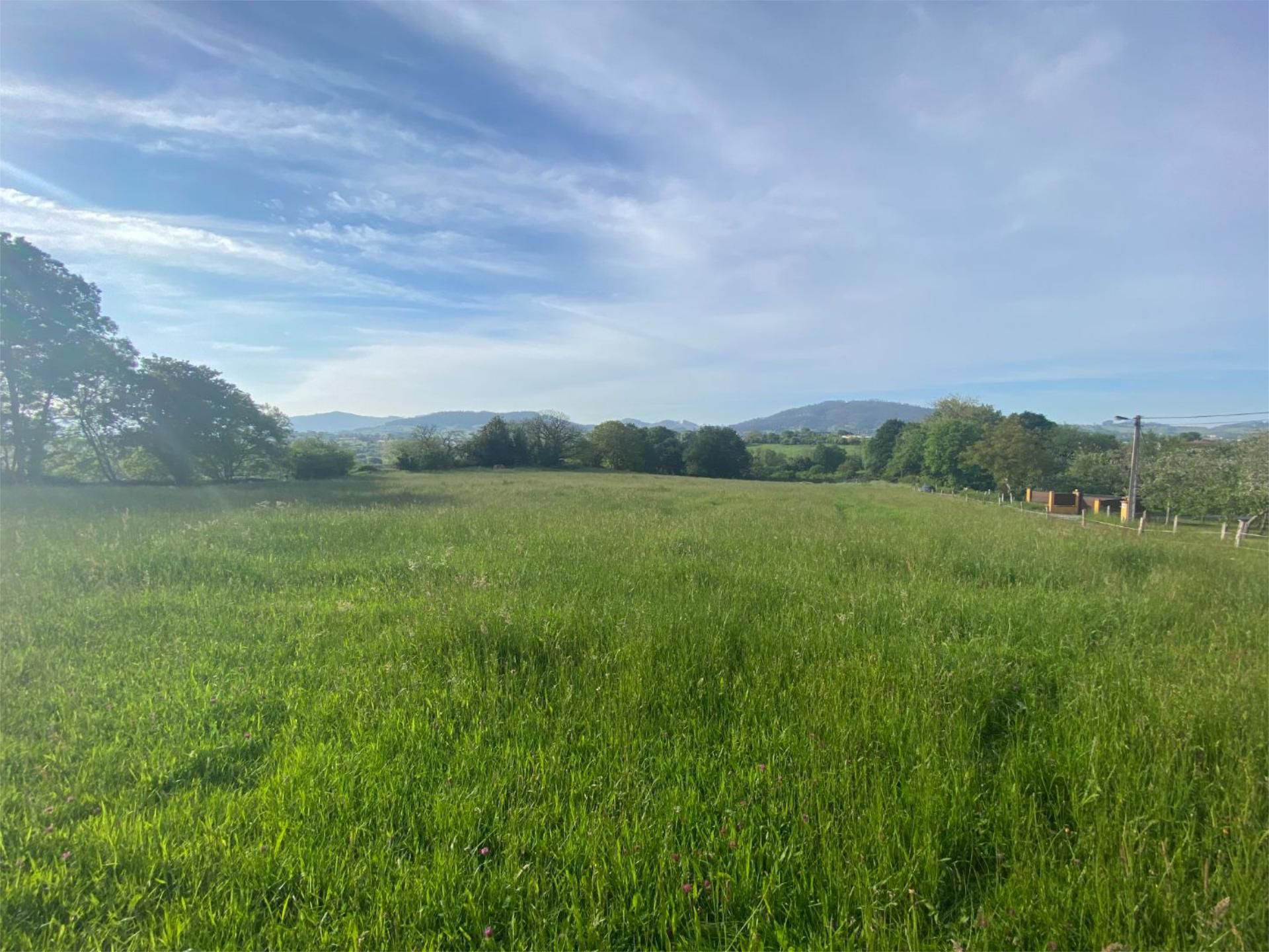 Constructible Land for sale in Llanera