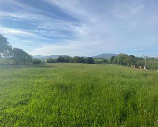 Constructible Land for sale in Llanera