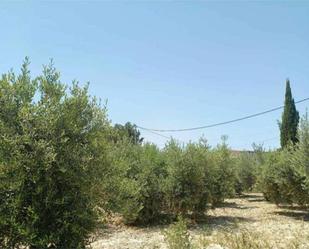 Casa adosada en venda en Alguazas amb Jardí privat, Terrassa i Piscina