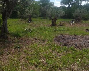 Country house for sale in Villanueva de la Vera