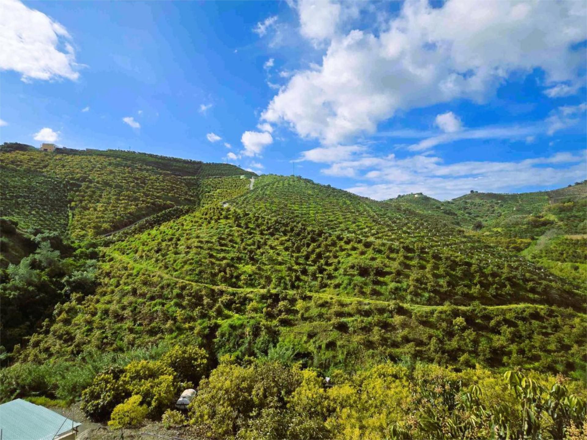 Exterior view of Land for sale in Vélez-Málaga