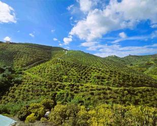 Exterior view of Land for sale in Vélez-Málaga