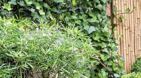 Pis de lloguer a Carrer Lugar el Bujeo, 4, El Cuartón - El Bujeo, Cádiz - imatge 3 Foto 3 de Pis de lloguer a Carrer Lugar el Bujeo, 4, El Cuartón - El Bujeo, Cádiz